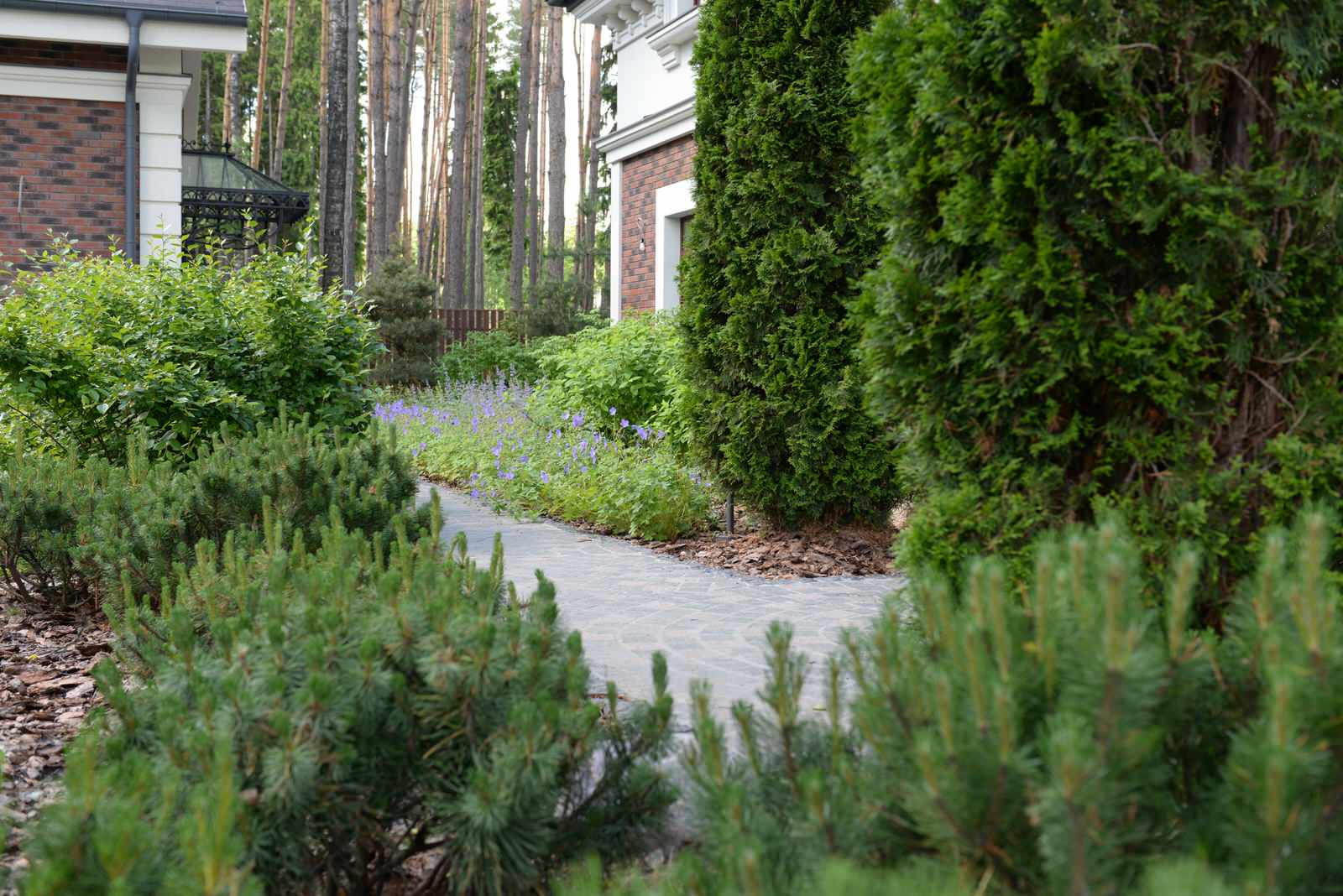 Новогорск 2021