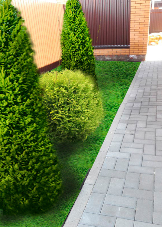 Проект малого сада