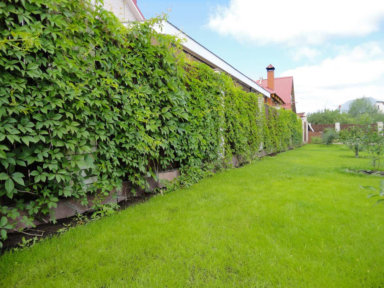 Благоустройство участка