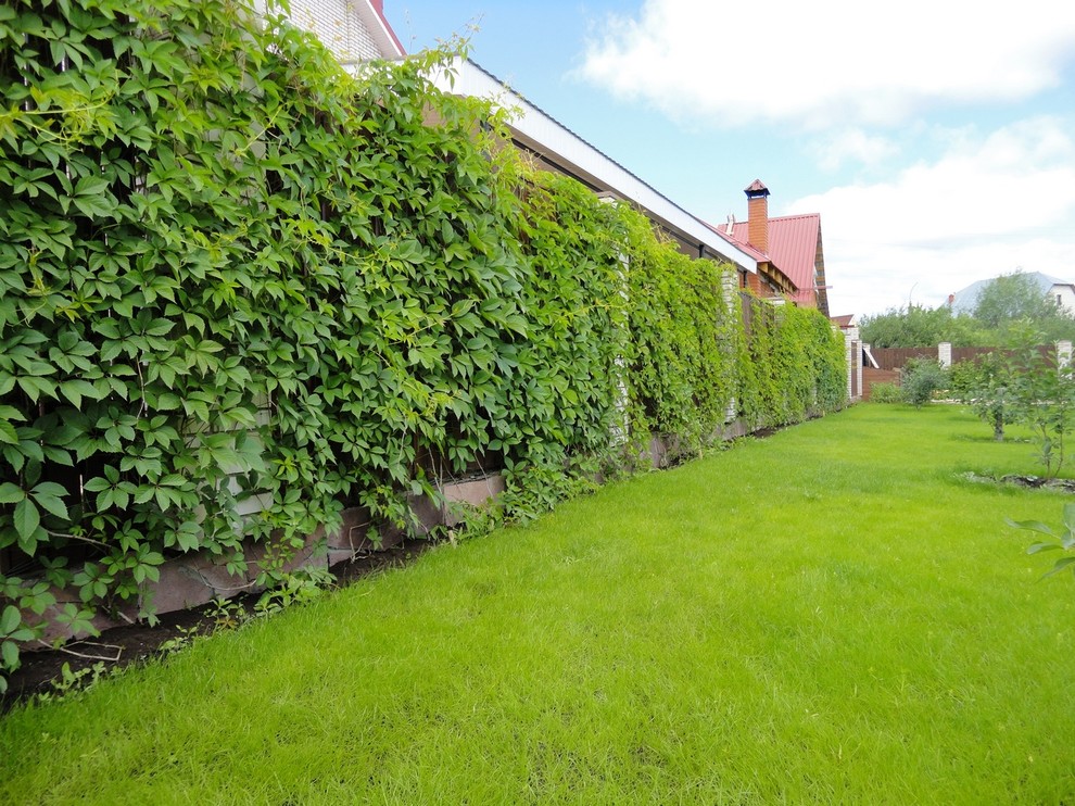 Благоустройство участка