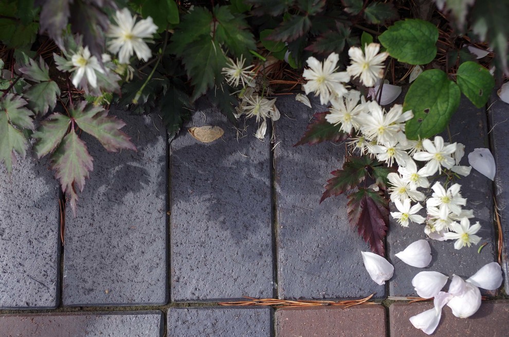 СНЫ О ЧЕМ_ТО БОЛЬШЕМ...