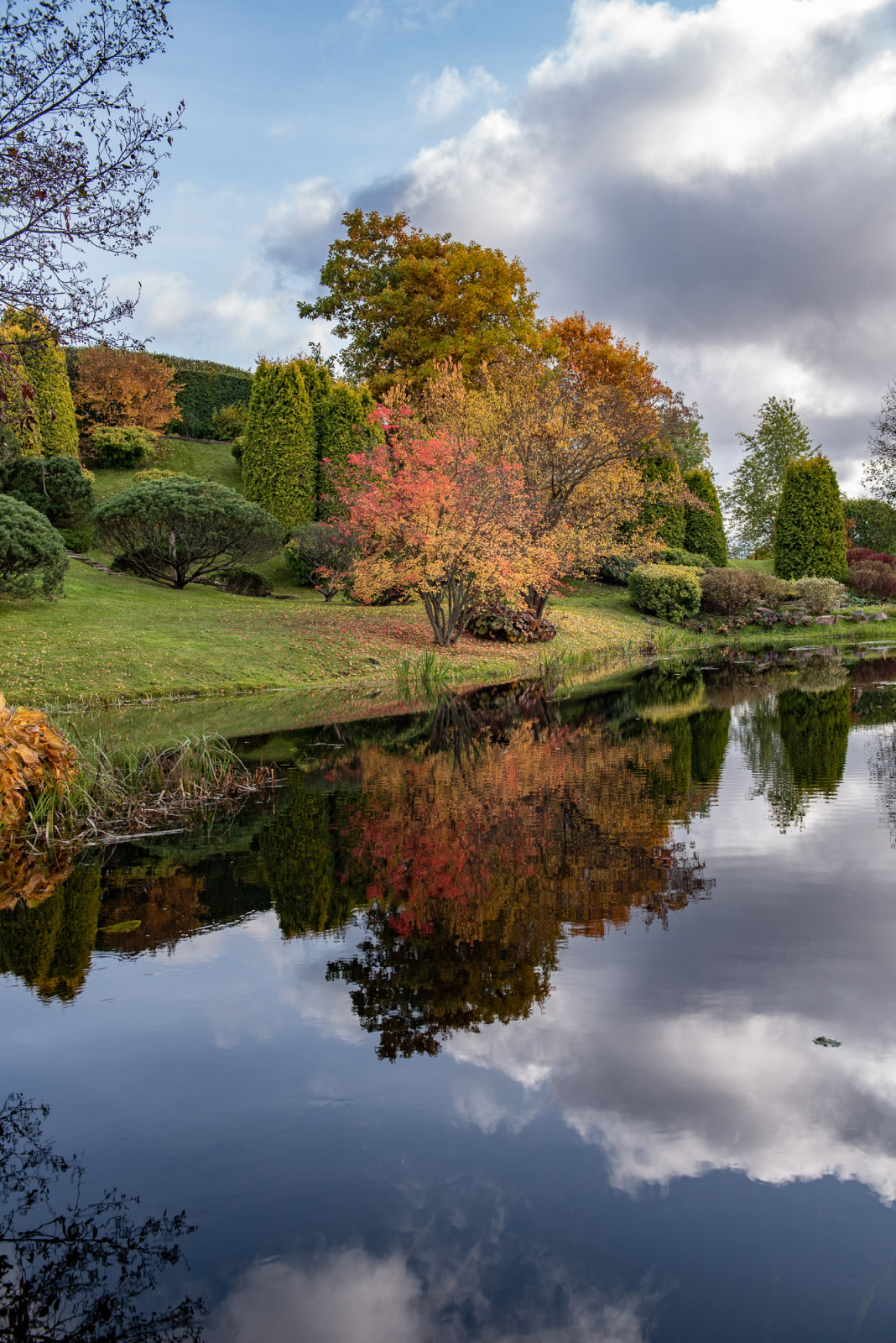 Ореховно. Музей-Усадьба.