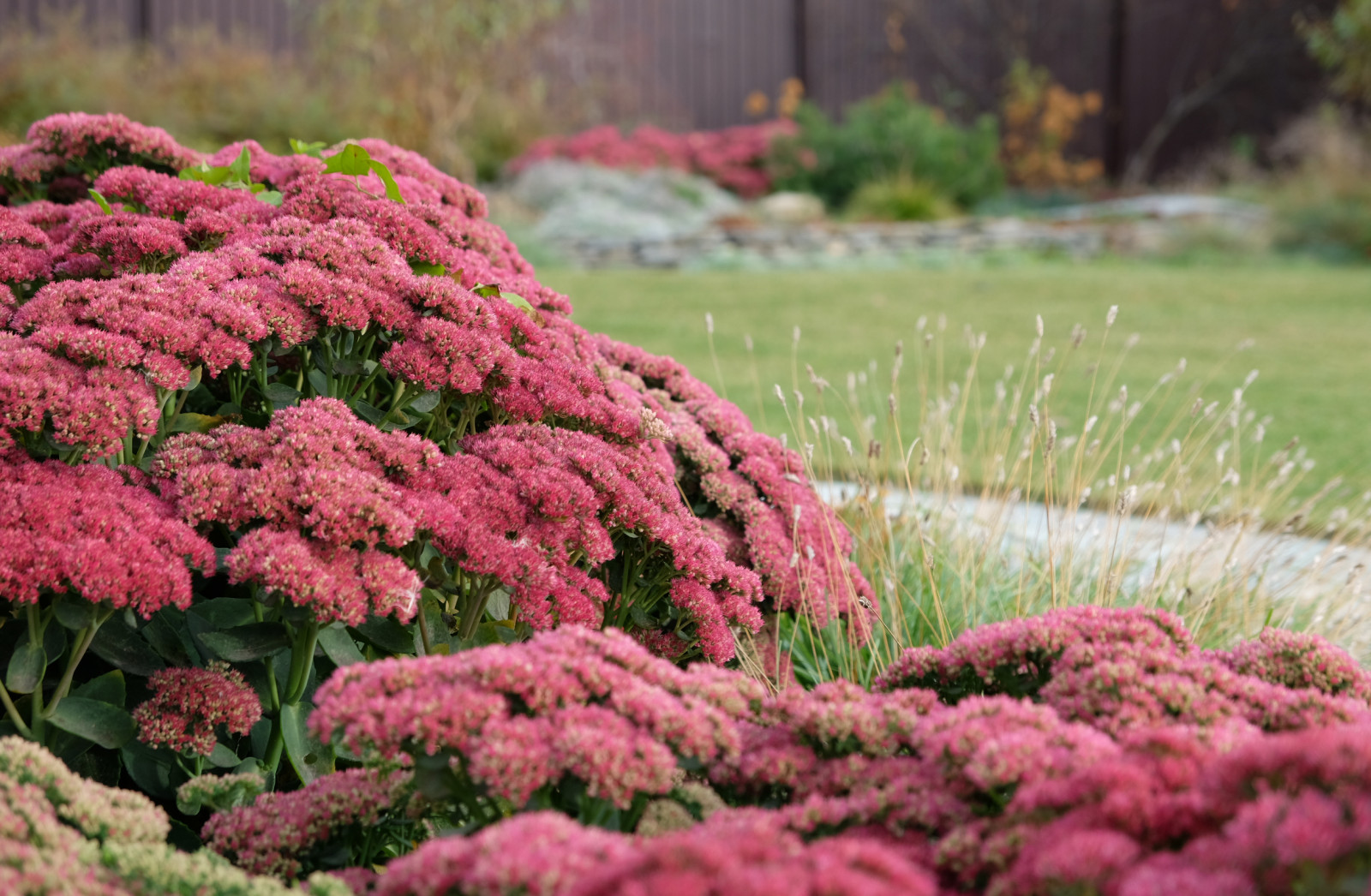 ДЫХАНИЕ ВЕТРА