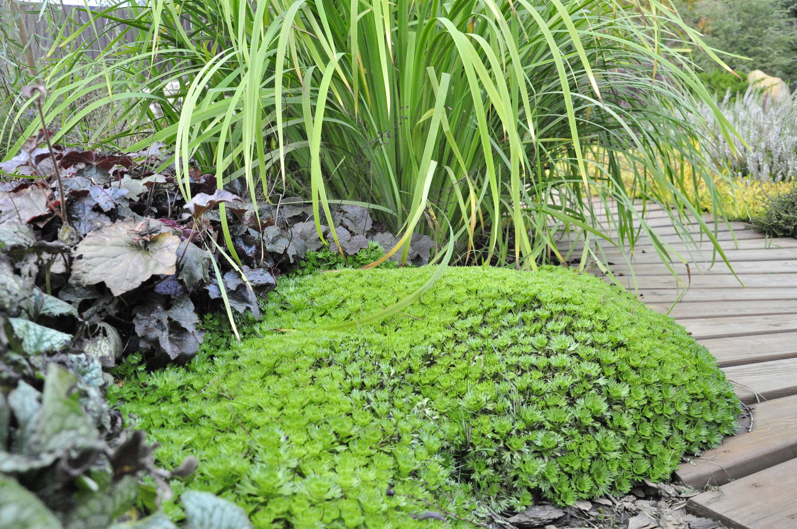 д. Коровино - Уход за садом - 100% качество