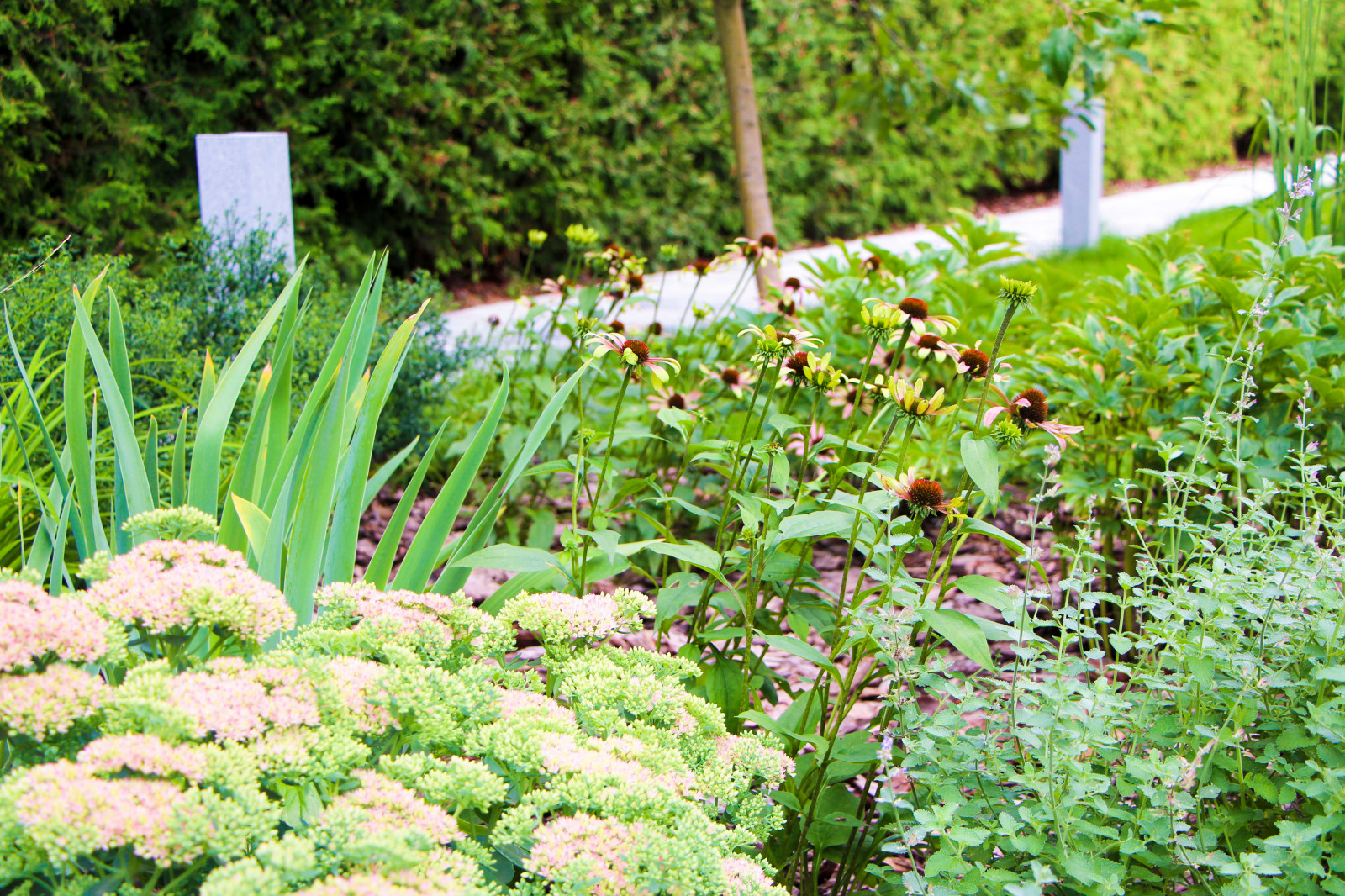 Долгопрудный, 2020 г.