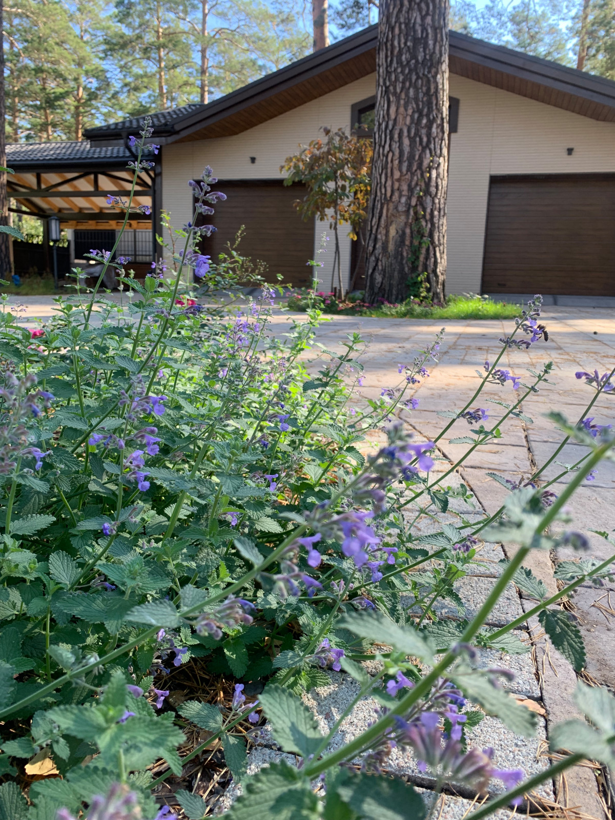 Таргайские усадьбы