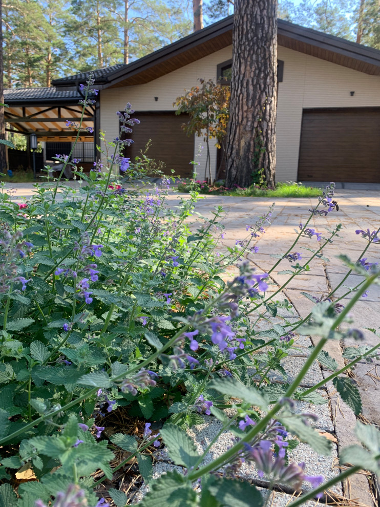 Таргайские усадьбы