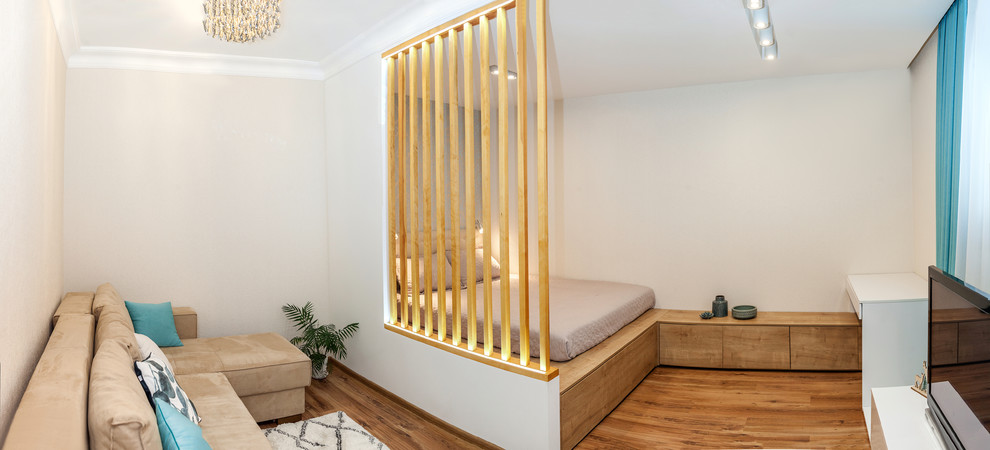 Гостиная с функцией спальни