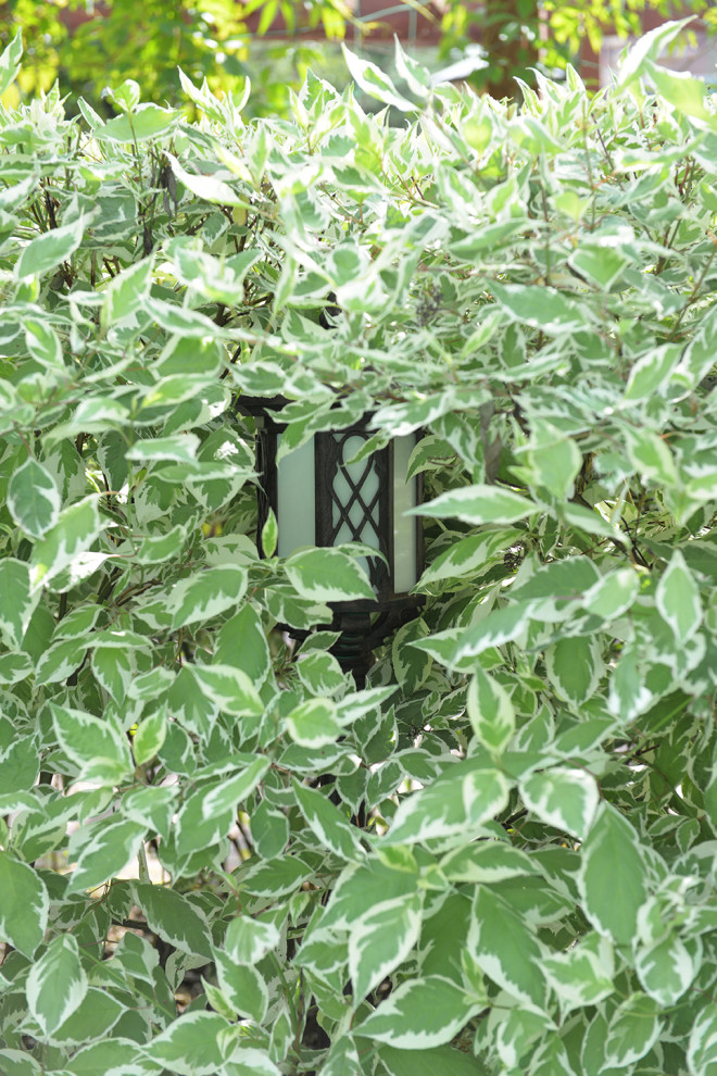 Молодёново