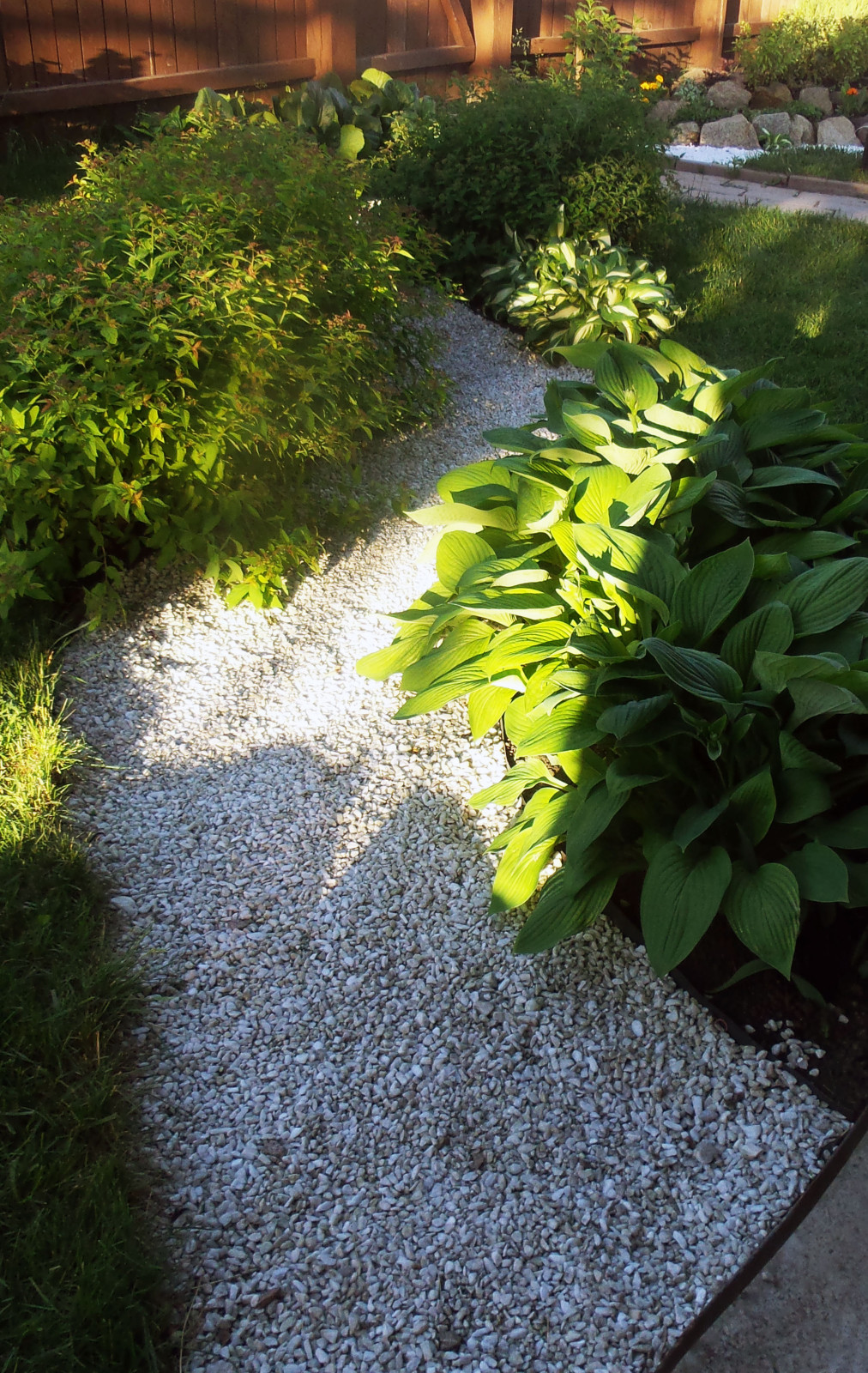 Цветники и композиции