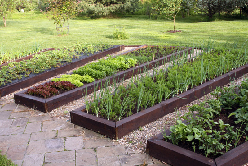 Обложка проекта: Большой сад для дружной семьи