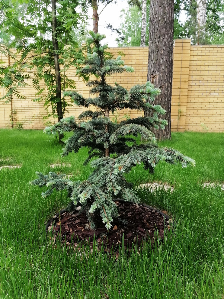 Ландшафтный дизайн в КП "Серебряный лес"