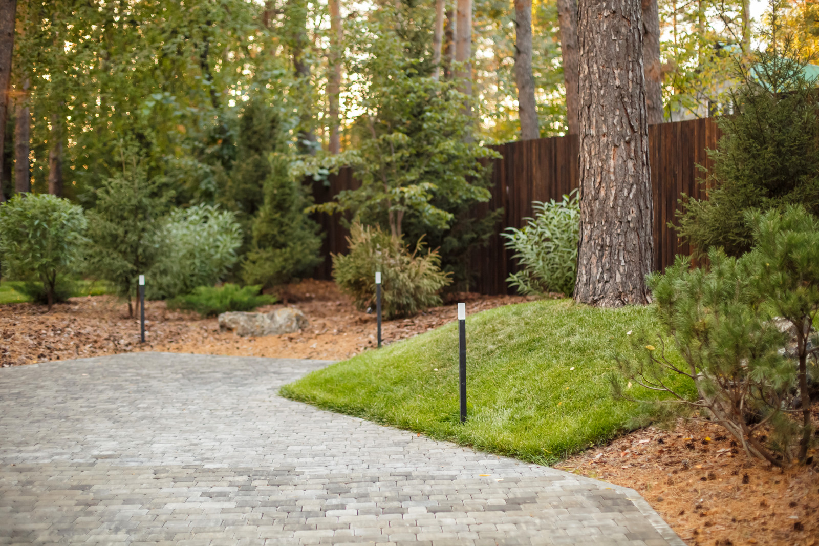 Обложка проекта: Ландшафт. Лесная погулка