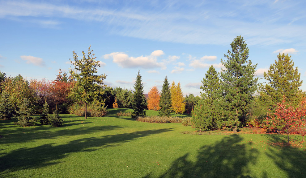 Новый пейзаж