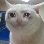 Дарья Григорьева