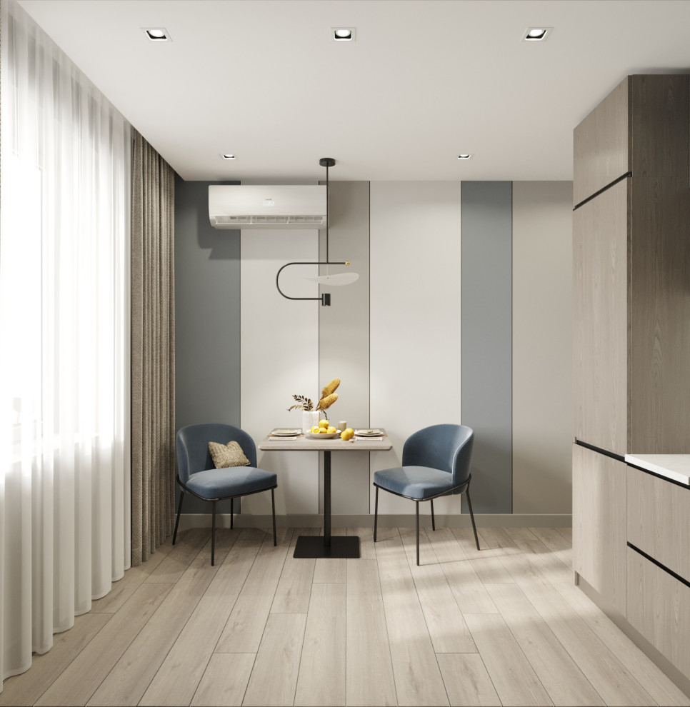 Дизайн проект однокомнатной квартиры в Долгопрудном