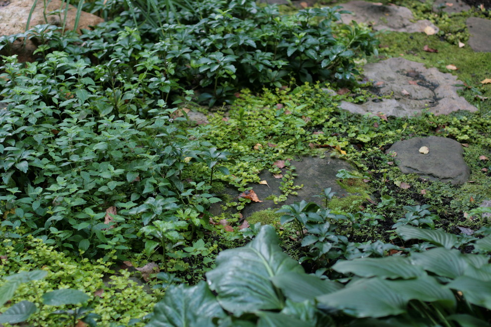 Обложка альбома: Ландшафтные идеи