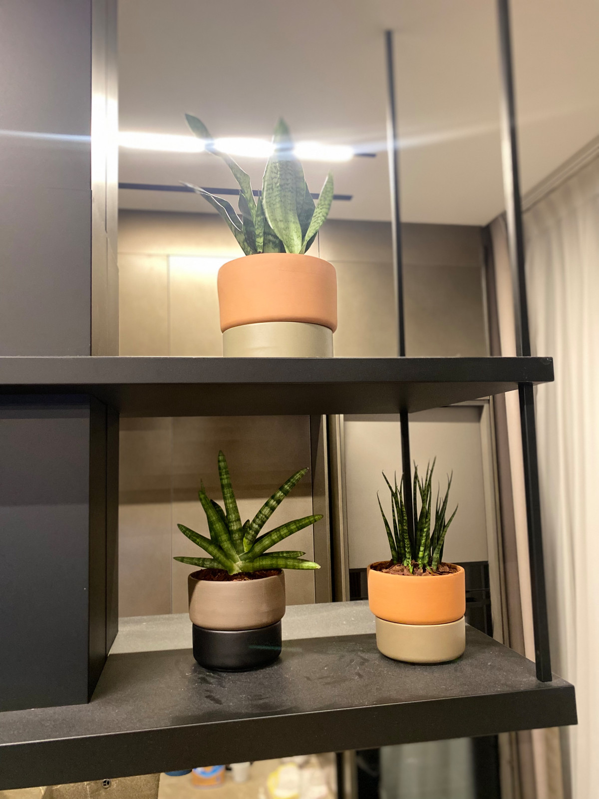 Озеленение квартиры ЖК Реноме