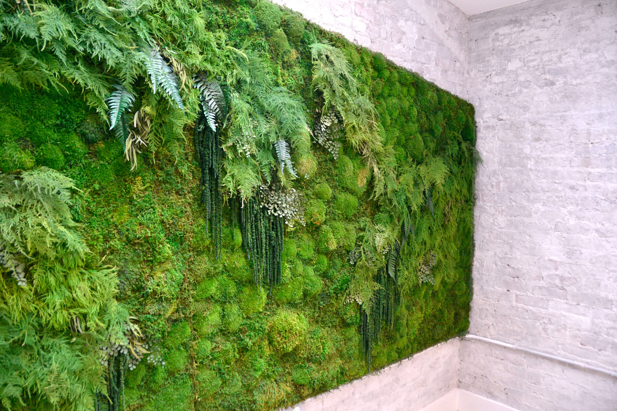 Вопрос: Есть ли альтернатива девичьему винограду на фасаде