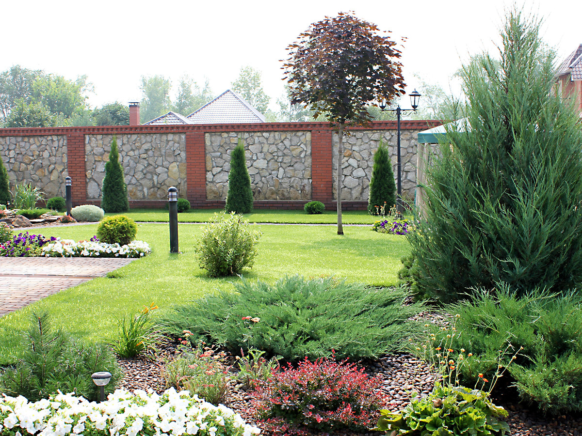 Обложка проекта: Лукоморье