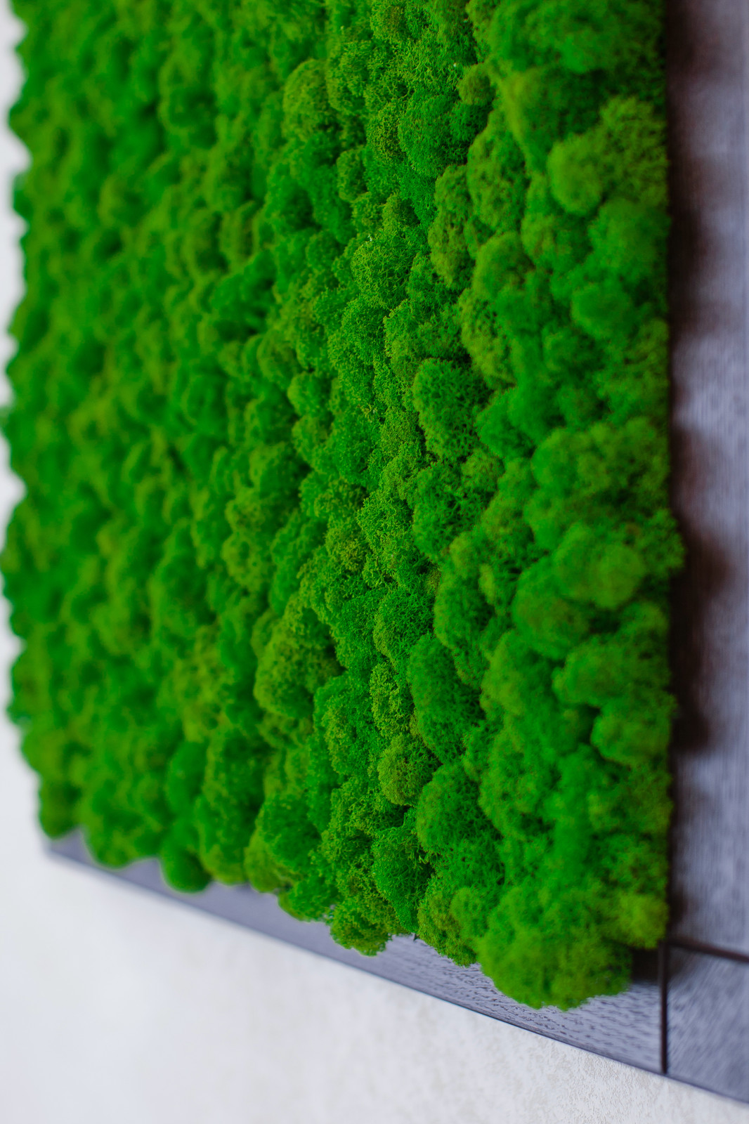 ЖК Горький Холл