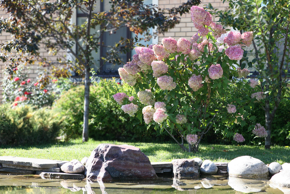 Наши работы