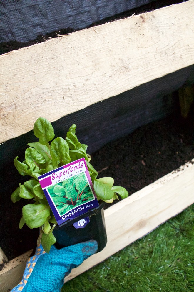 Своими руками: Как сделать стеллаж для рассады