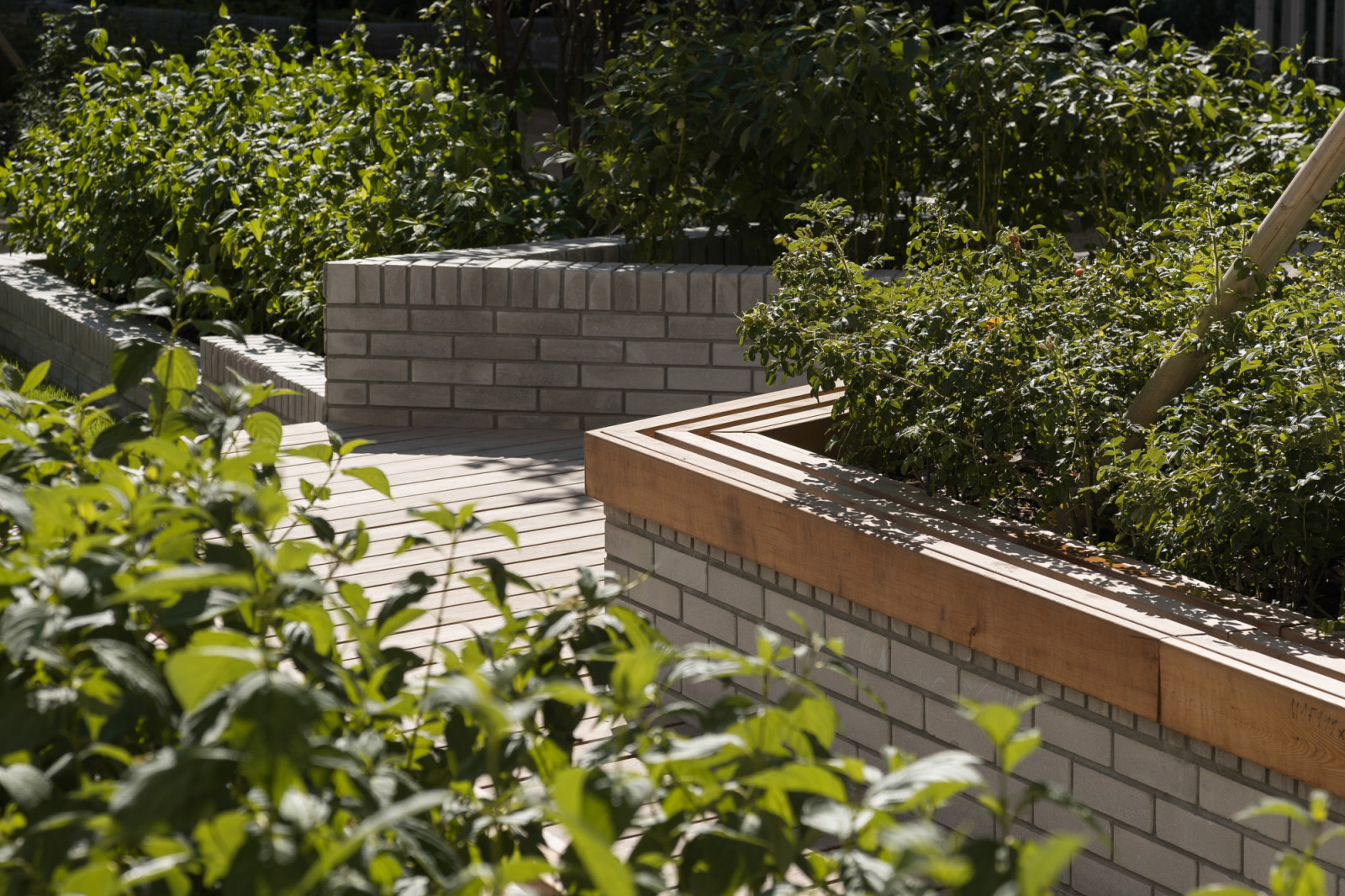 Дом с мостами