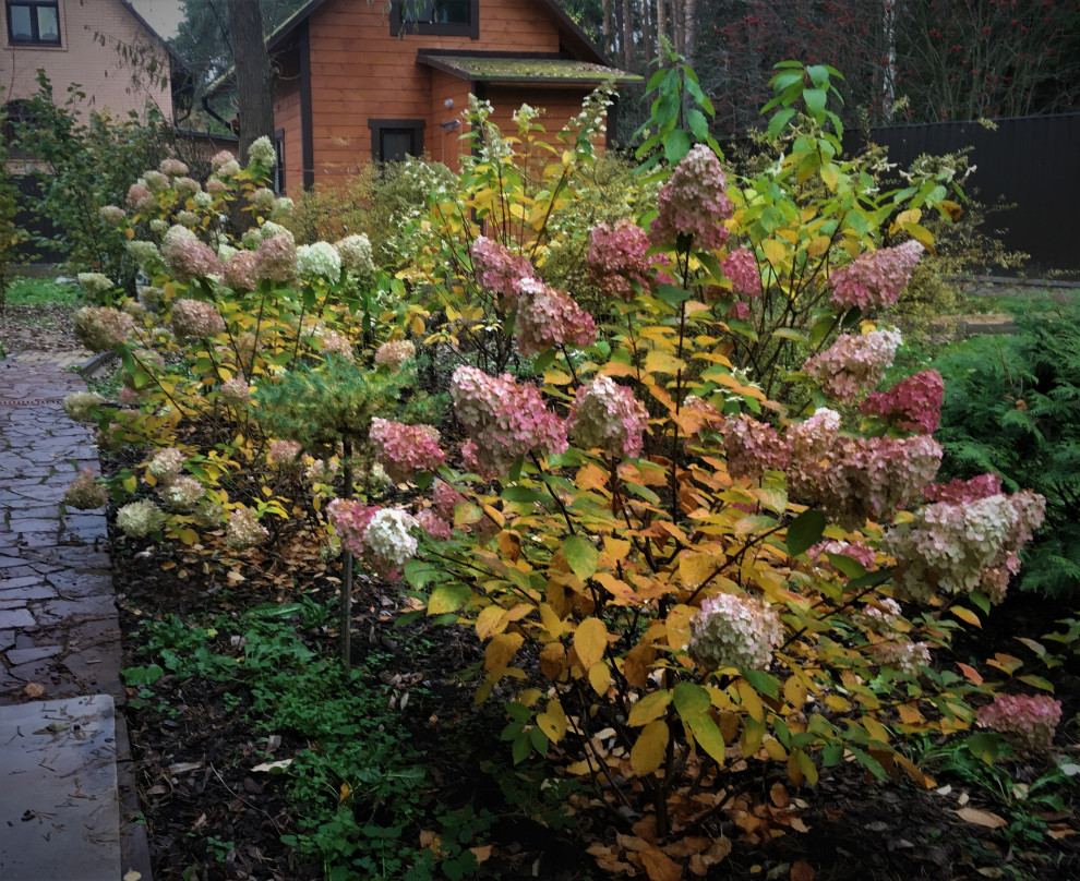 Васильевское