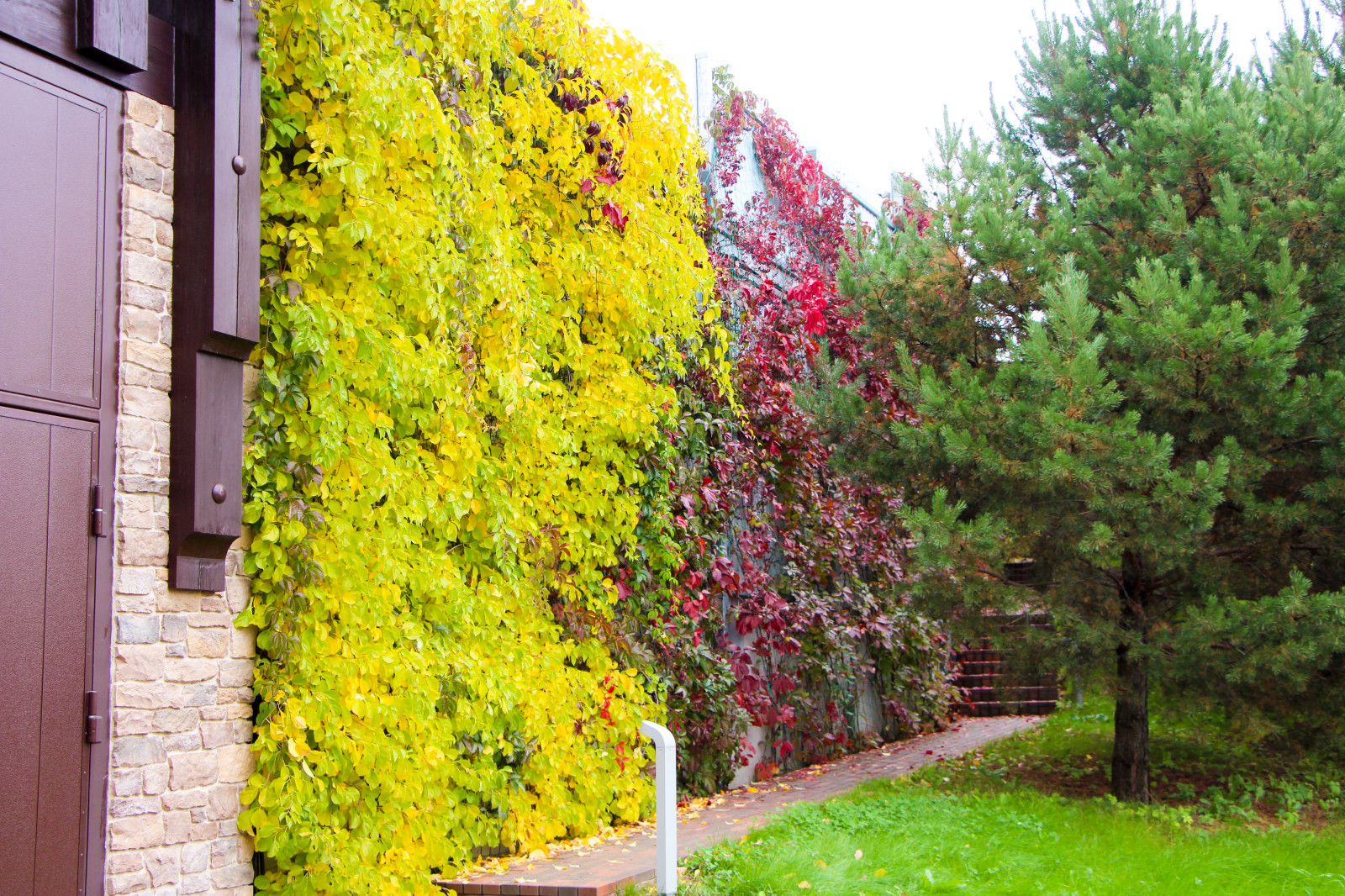 Лобаново, 2012-2021 гг.