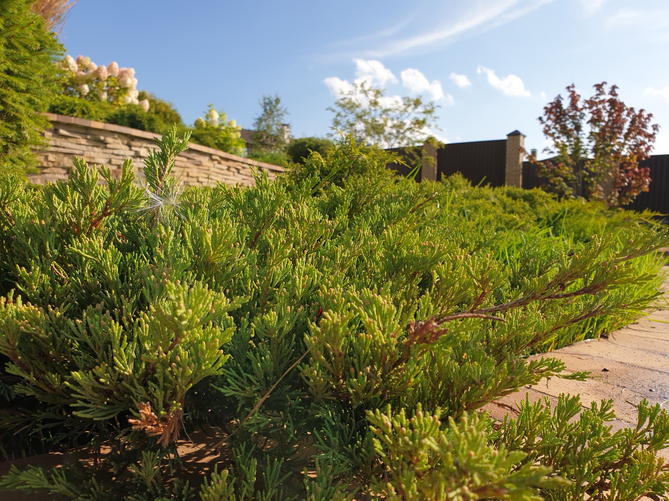 Проект участка с террасированием.