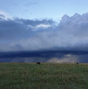Сара Абдрахманова