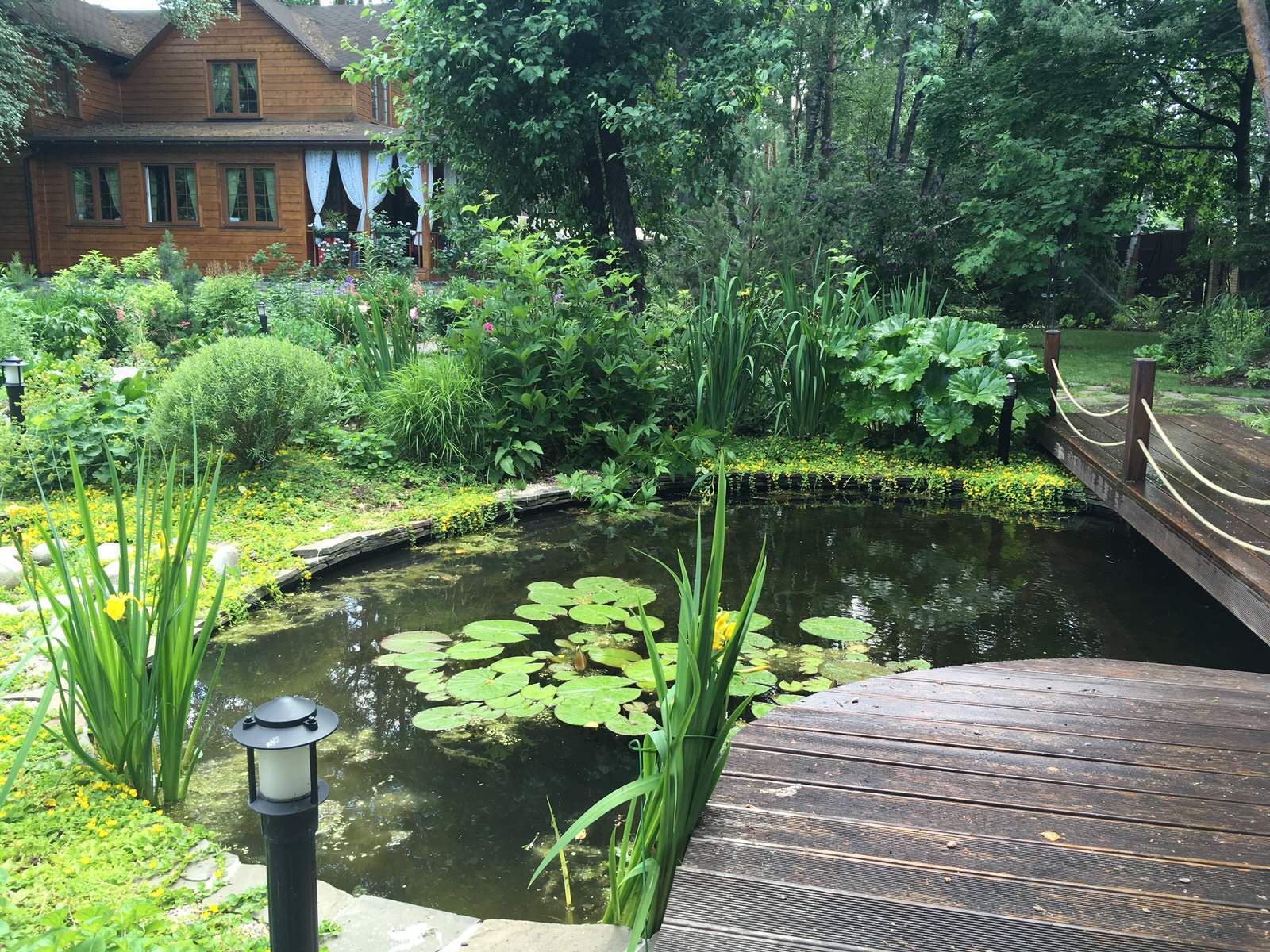 Белкин сад. Лето 2019