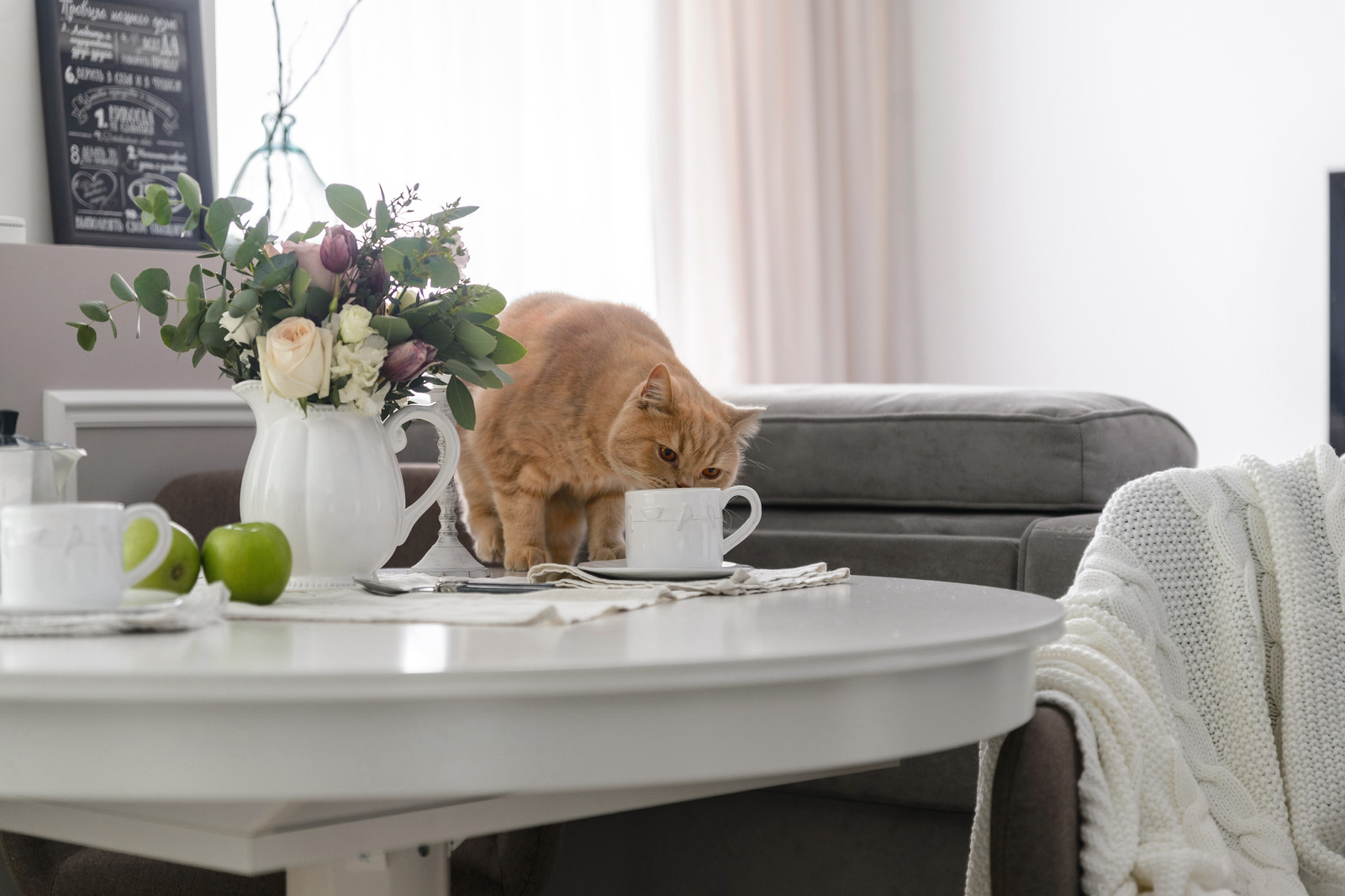 White line home (реализация)