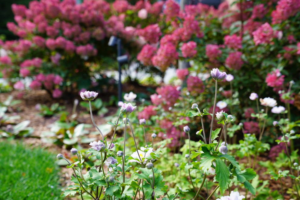 Круговорот цвета. Дубровка 2021