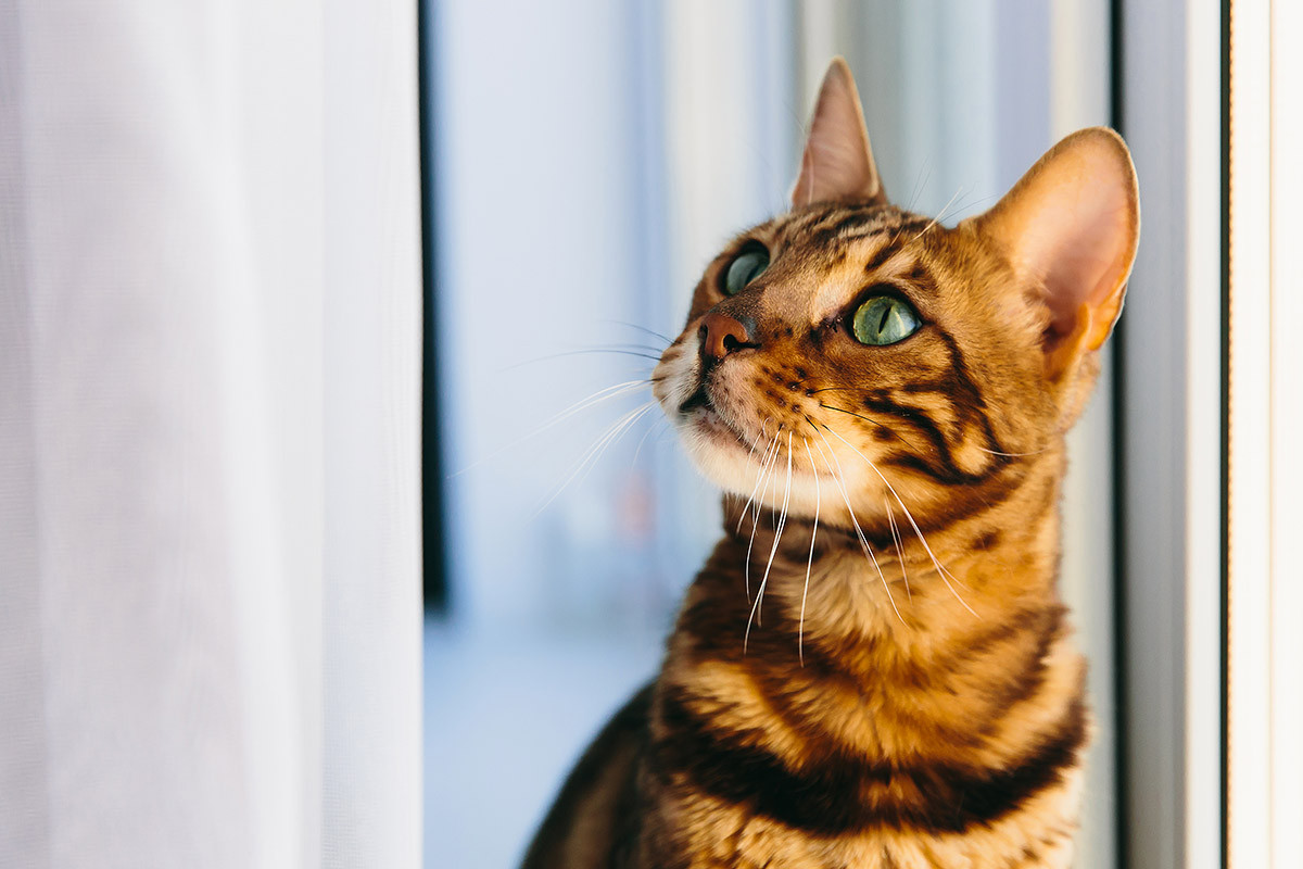 Реализация: мебель для двух детских