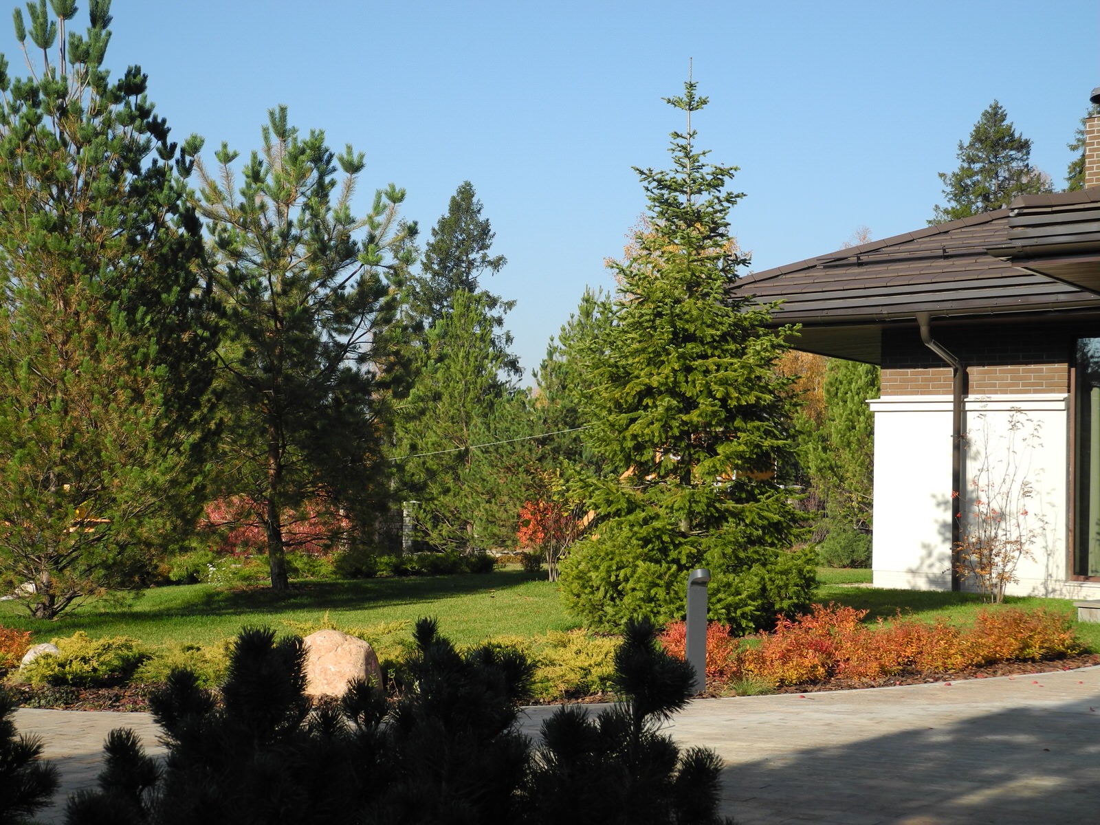 Новогоднее дерево