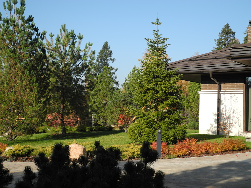 Новогоднее дерево