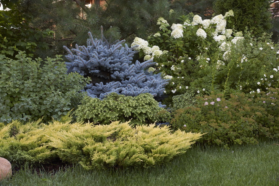 Витро Кантри