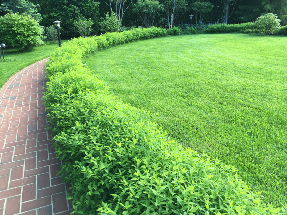 Миллениум Парк 2