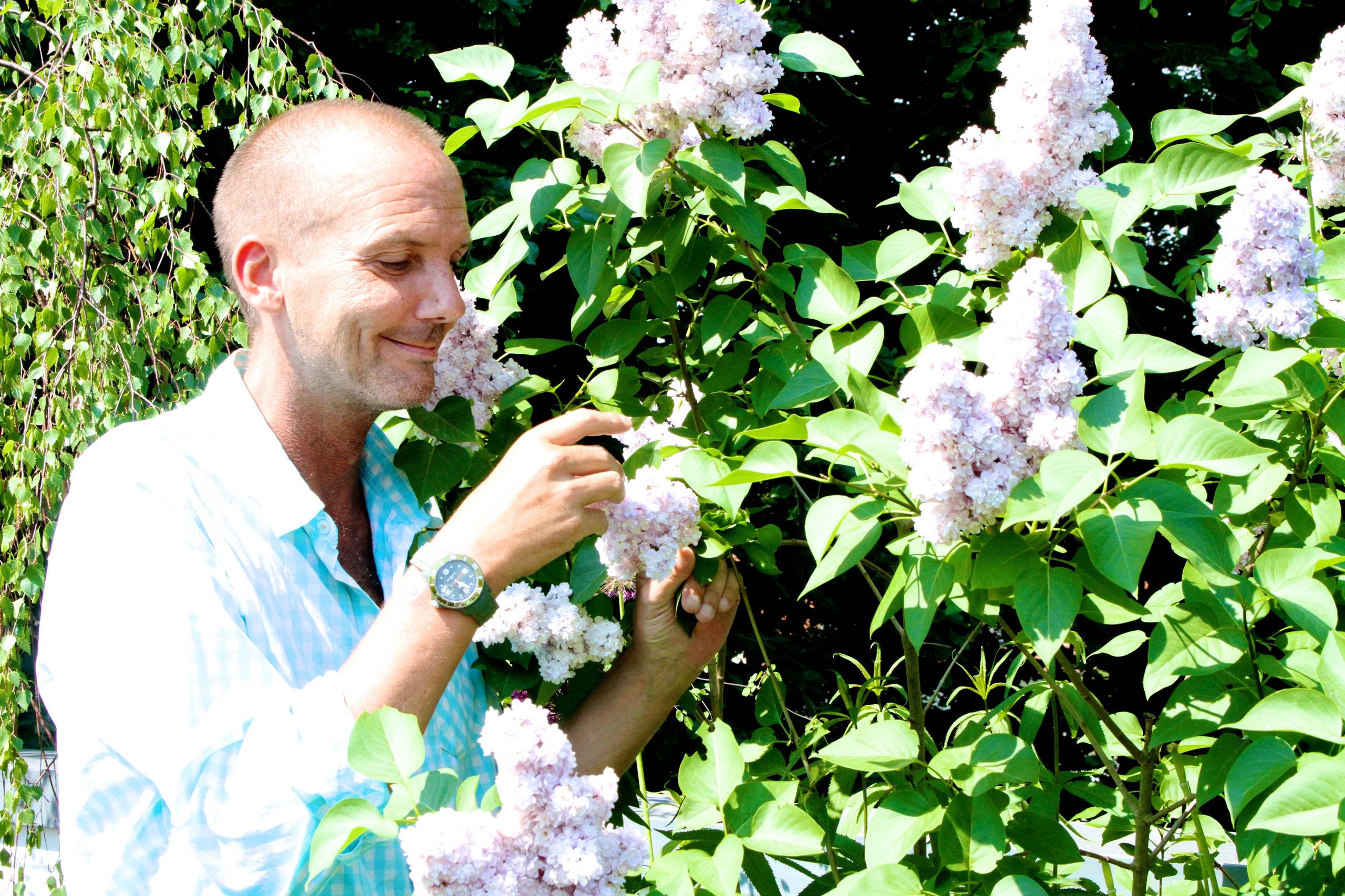 Houzz Германия: Цветущий сад на крыше в Берлине