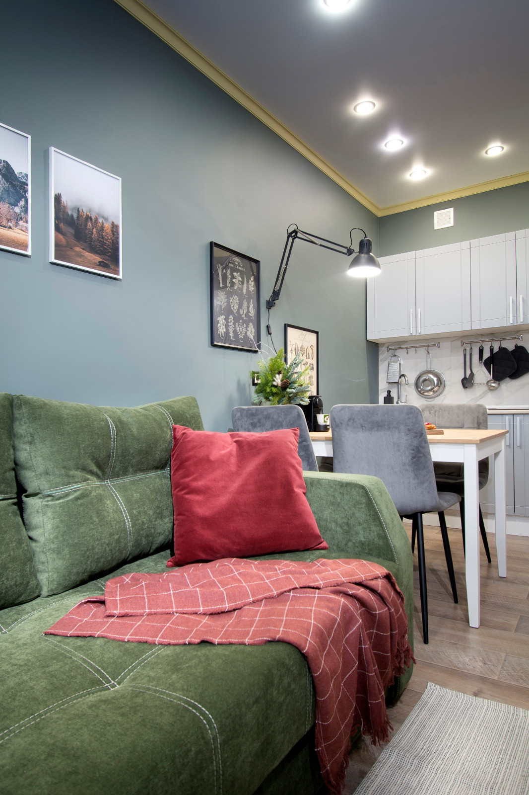 Кухня-гостиная