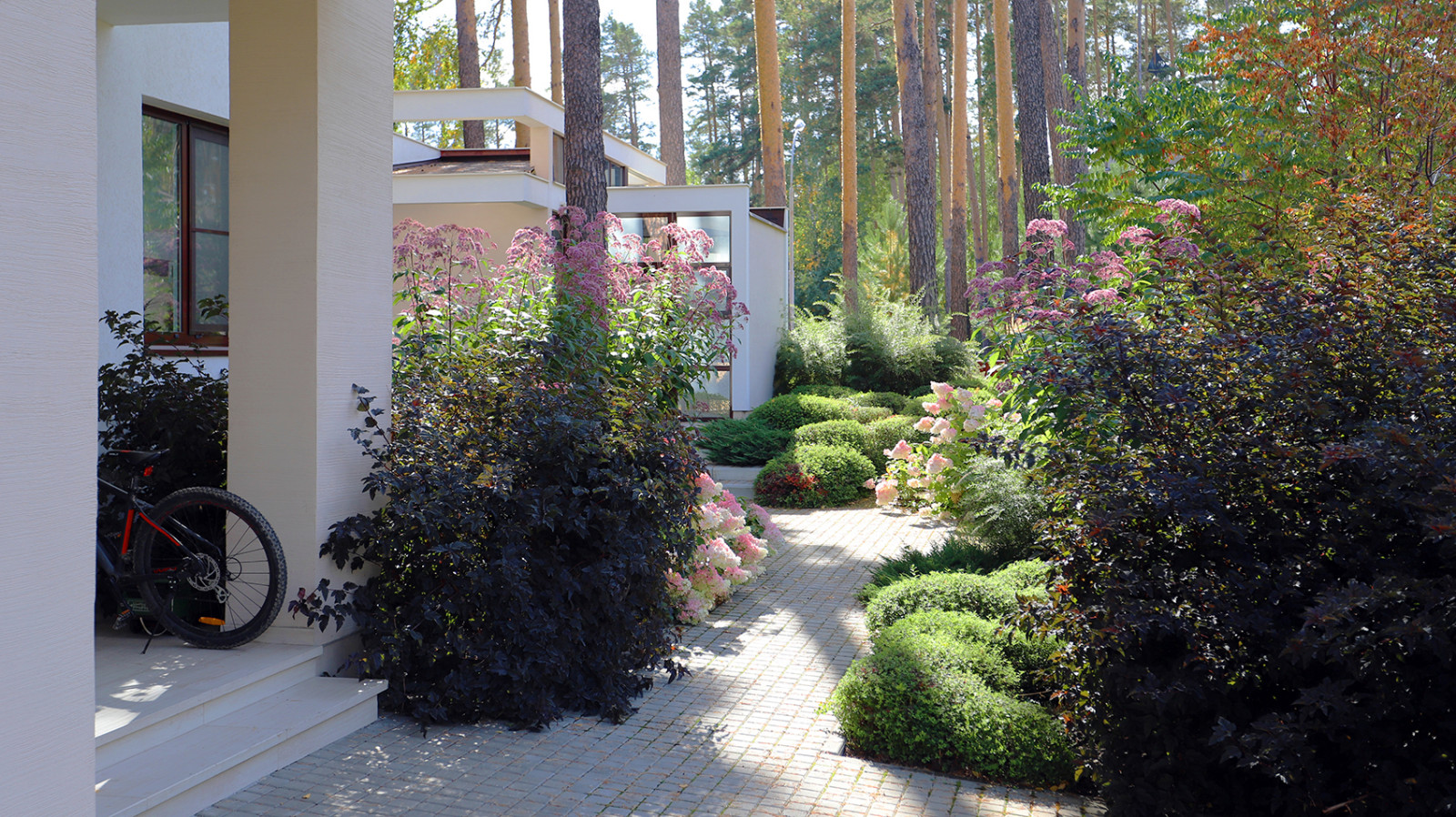 Маленький сад между большими соснами.