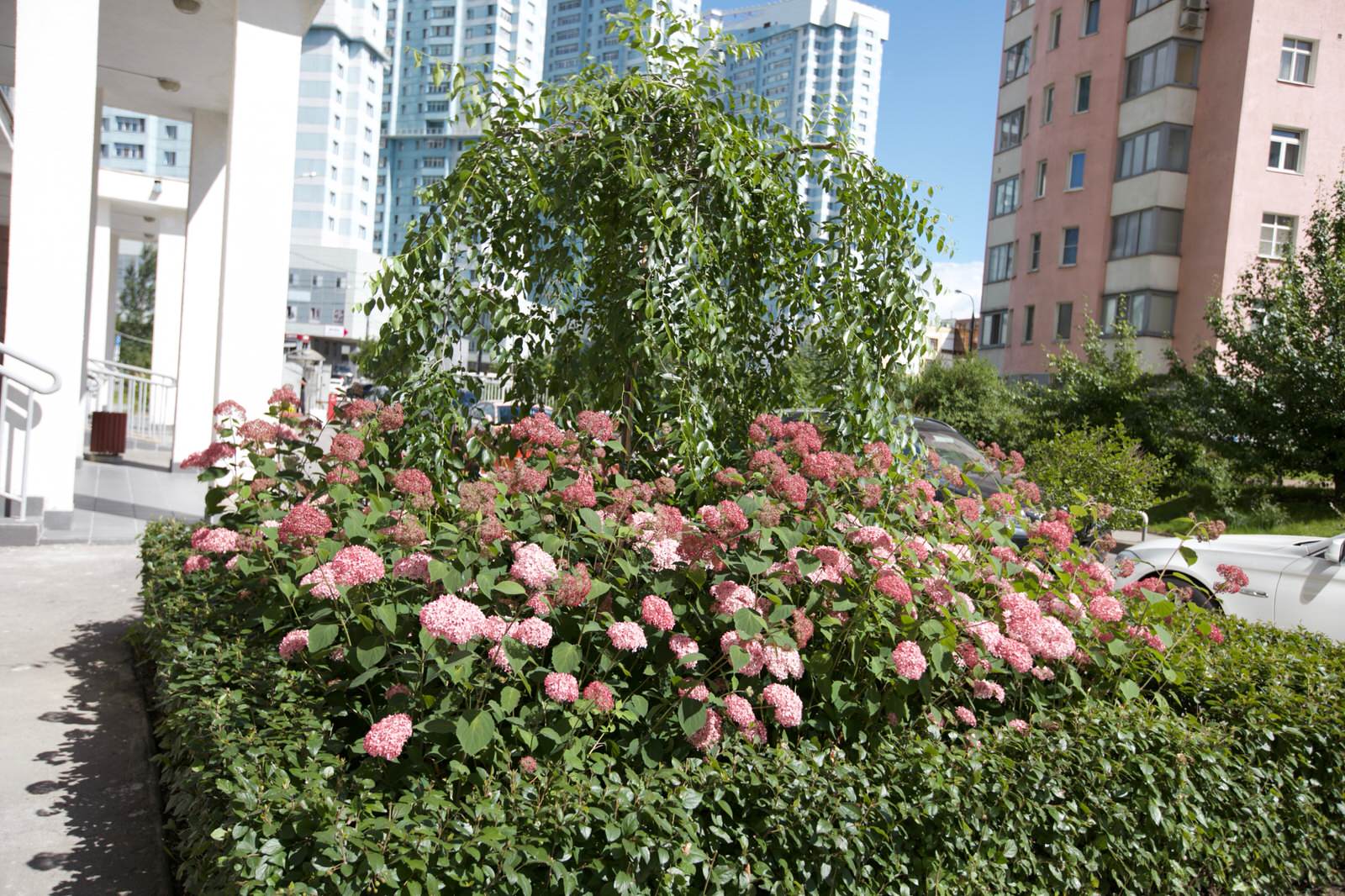 Оформление входа в подъезд многоквартирного дома на Ходынке ЖК "Гранд парк"