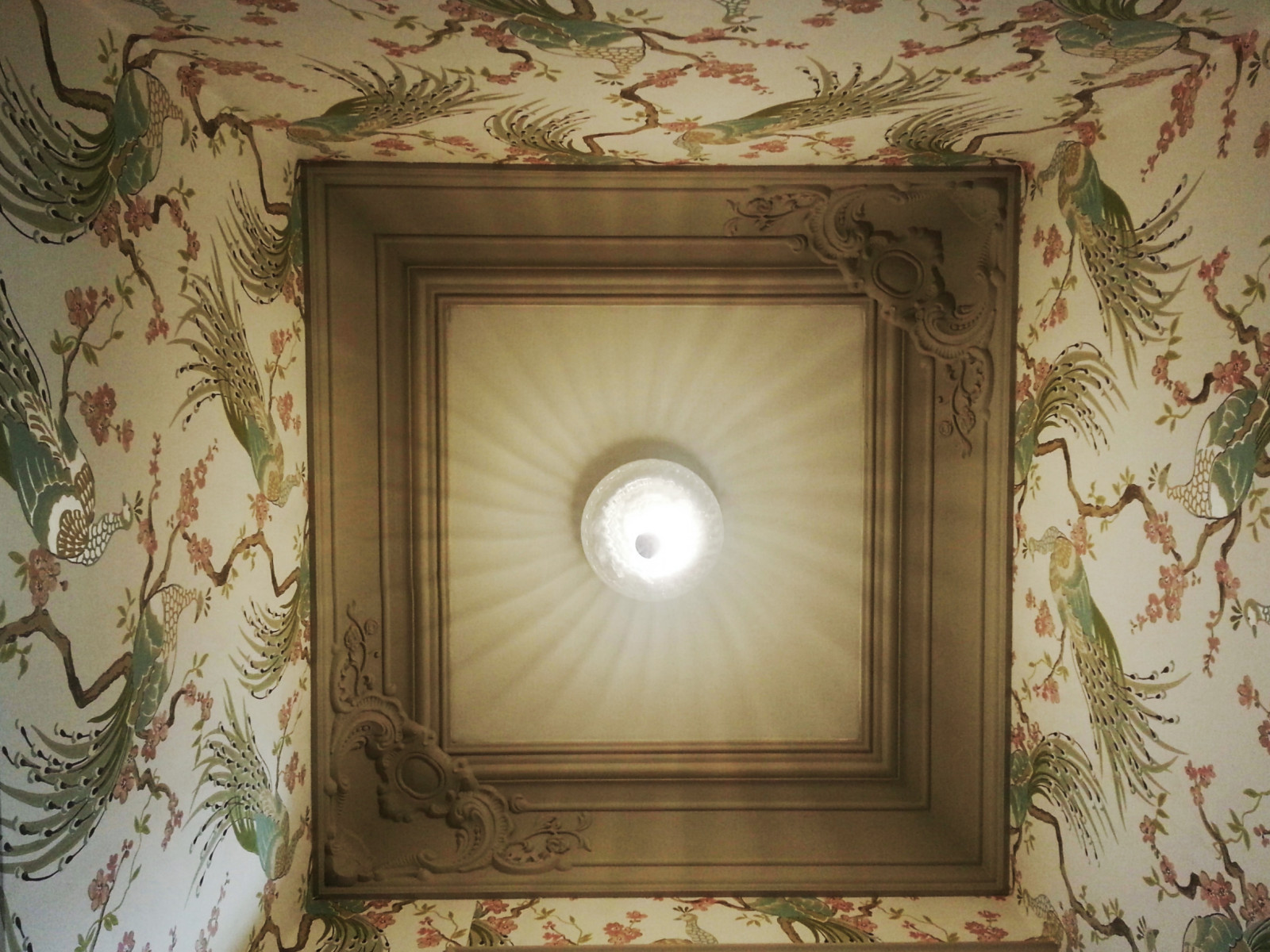 Фоновое изображение профиля Елена Зингер