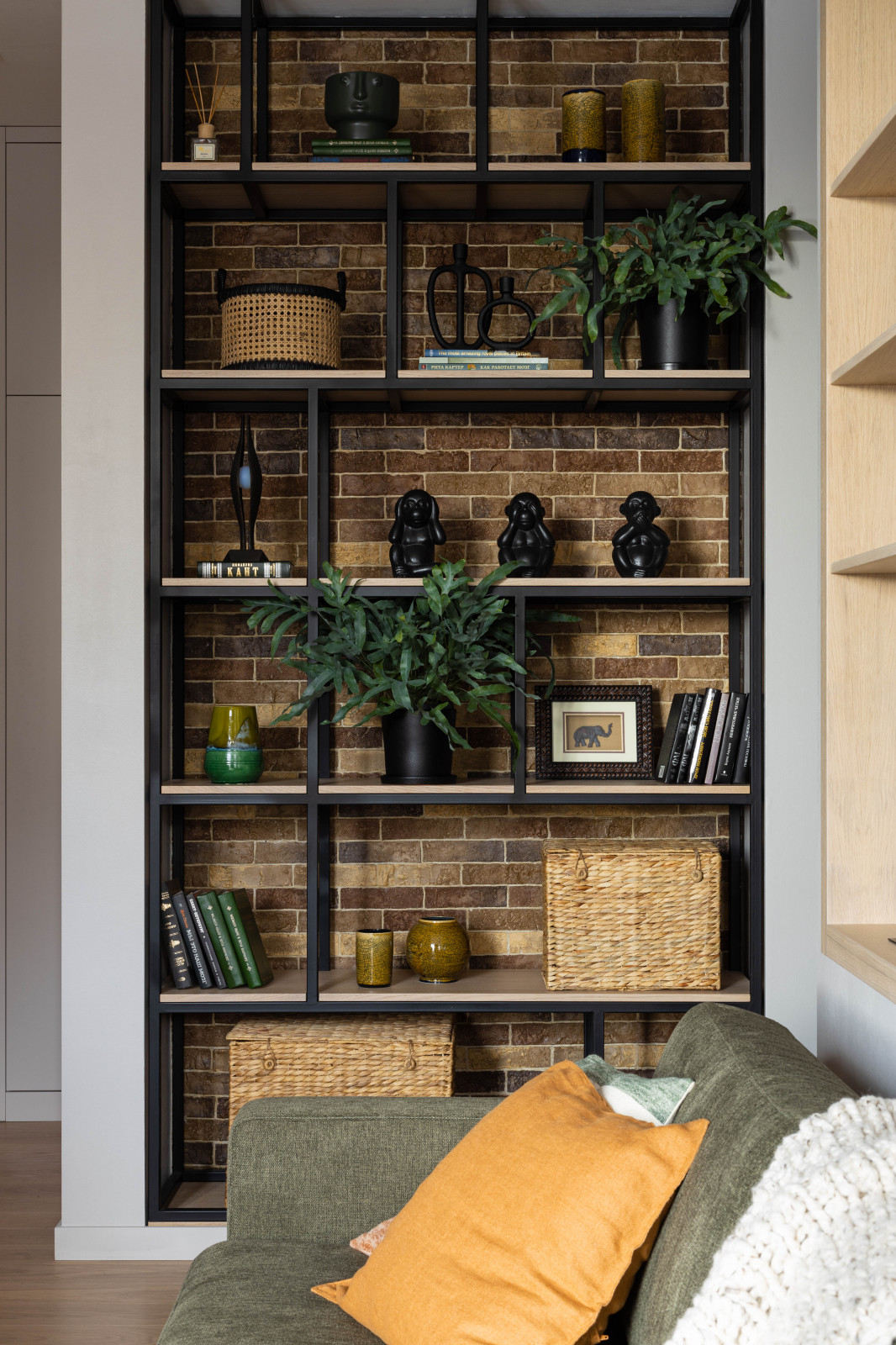 квартира с попугаями