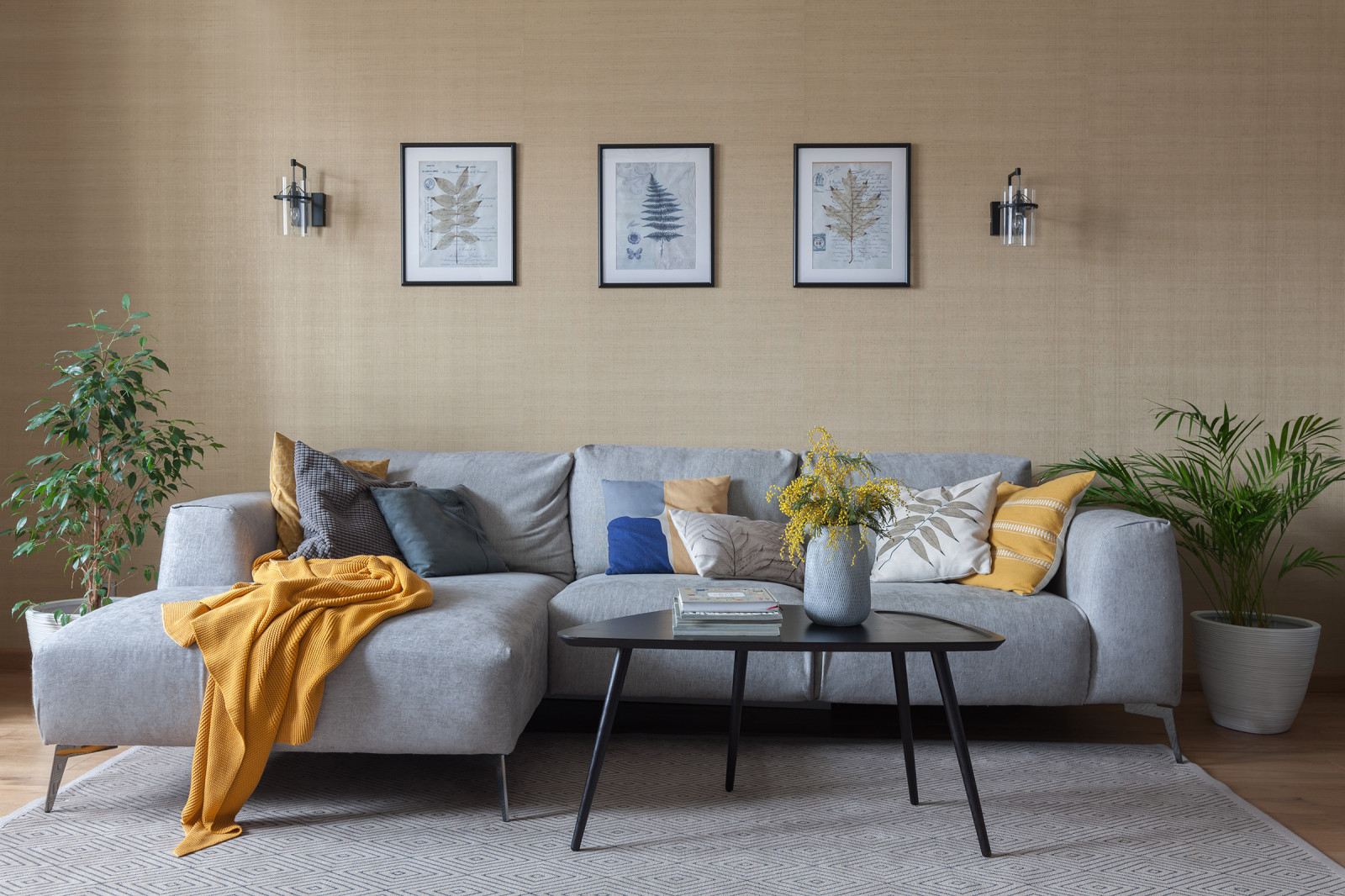 Проект "Жуки-бабочки"