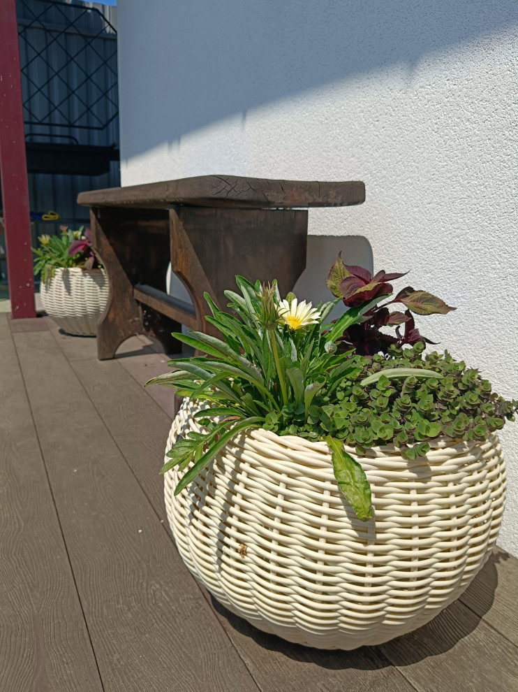 Сад на 2,5 сотках