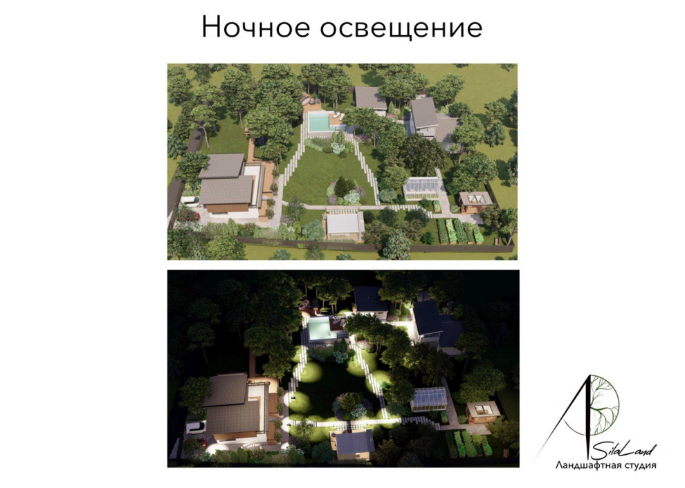 Солнце в кронах