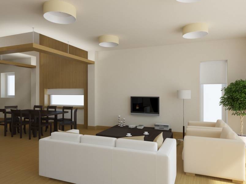Cottage for Professors in the Cottage Area of Skolkovo MMS